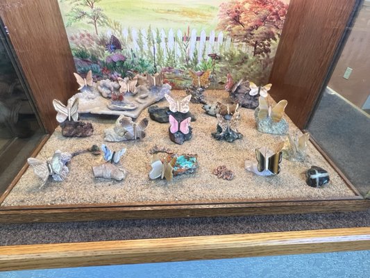 Petrified Wood Gallery by null