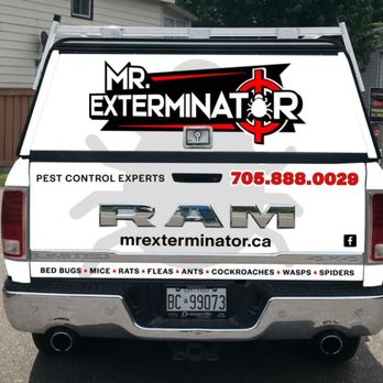 Mr. Exterminator - Pest Control Near Me - Angus, Ontario Mr. Exterminator - Pest Control Near Me - Angus, Ontario