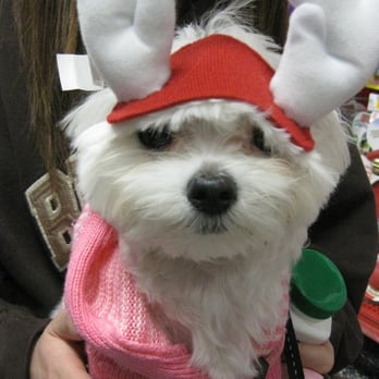 Petco - Rudolph? - Pet Stores Near Me - Anaheim, California