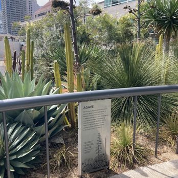 Salesforce Park - Parks Near Me - San Francisco, California Salesforce Park - Parks Near Me - San Francisco, California