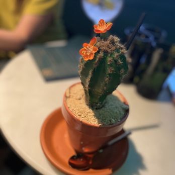 36 Below - Speakeasies Near Me - Phoenix, Arizona