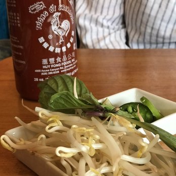 Pho & Rice - Complimentary salad - Vietnamese Near Me - Cleveland Heights, Ohio Pho & Rice - Complimentary salad - Vietnamese Near Me - Cleveland Heights, Ohio
