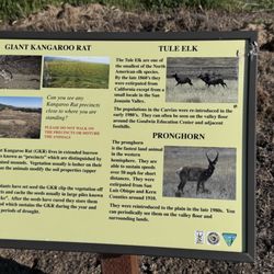 Soda Lake Overlook and Boardwalk - Soda Lake visitors center