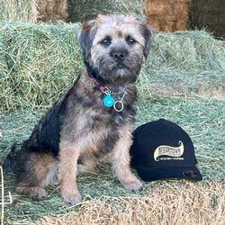 Rivertown Whiskey On Alfalfa