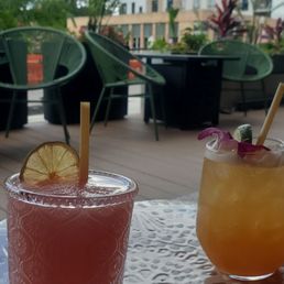 Our view. To the left - Frozen Prickly Marg To the right - Peach Fuzzy