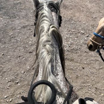 Silver State Horseback Riding Tours - Horseback Riding Near Me Silver State Horseback Riding Tours - Horseback Riding Near Me
