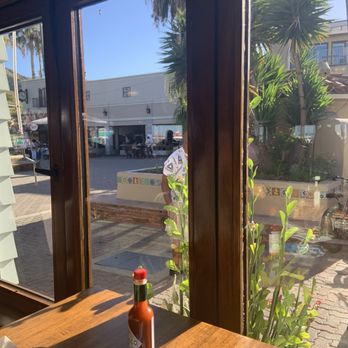 Bluewater Grill - View from the Bar !! Bees on window . - Seafood Near Me - Avalon, California Bluewater Grill - View from the Bar !! Bees on window . - Seafood Near Me - Avalon, California