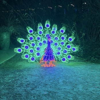 River Of Lights - Peacock - Festivals Near Me - Albuquerque, New Mexico