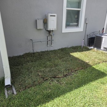 Total Maintenance Landscaping - Removed mulch, 1 tree stump and added grass/sod. - Landscaping Near Me - Cocoa, Florida