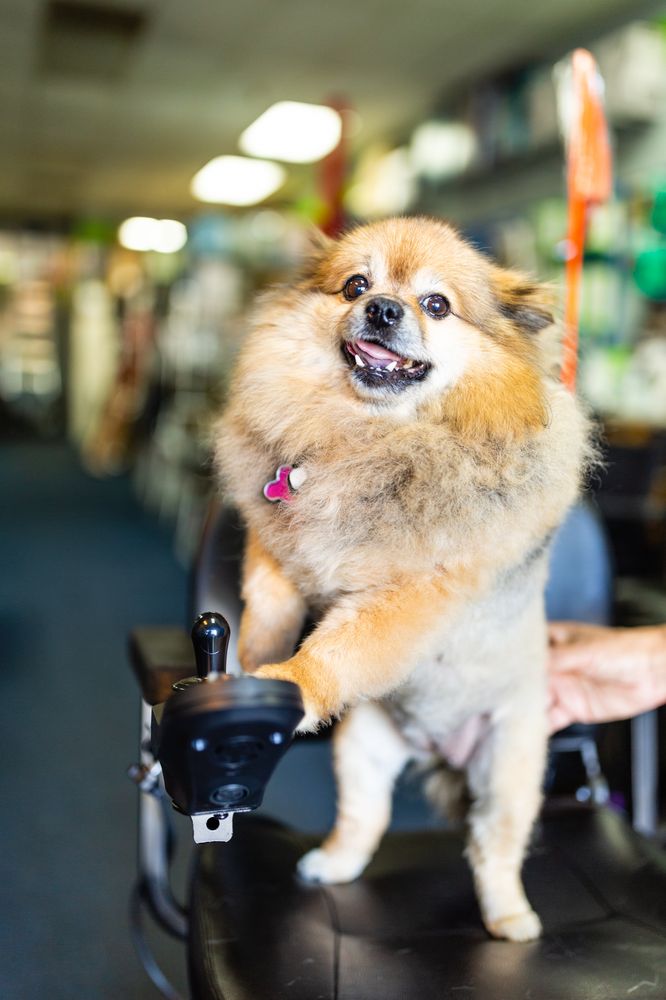 H.N.H WHEELCHAIR SALES Updated August 2024 16 Photos & 19 Reviews