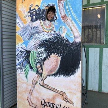 Ostrichland USA - Attraction Farms Near Me - Solvang, California