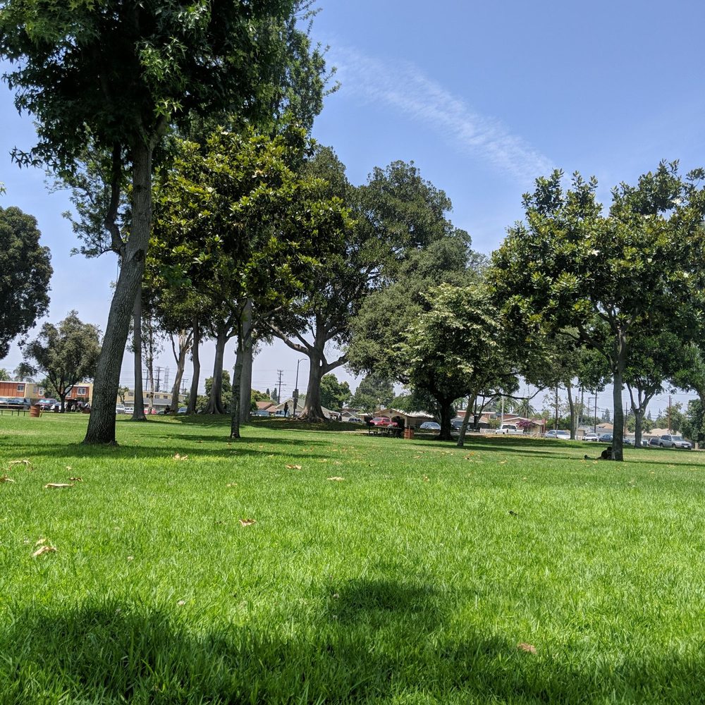 Lots of shade trees Lots of shade trees