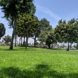 Lots of shade trees Lots of shade trees