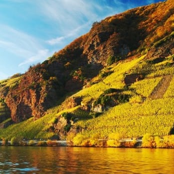 Heimat.Wein - Beer, Wine & Spirits Near Me - Berlin, BE