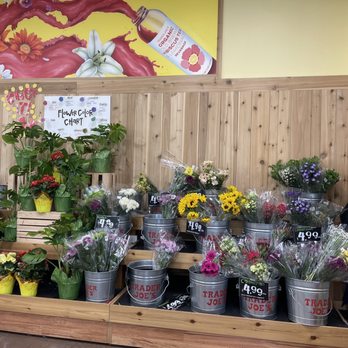Trader Joe's - Grocery Near Me - Milpitas, California Trader Joe's - Grocery Near Me - Milpitas, California