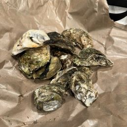 Oyster $1 Friday Oyster $1 Friday