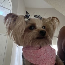 Lulu Lulu