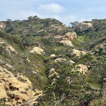 Torrey Pines State Reserve - Parks Near Me - La Jolla, California