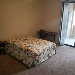 Spacious Master Bedroom (2 BR)