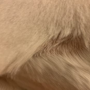 Petco - Hair patch - Pet Stores Near Me - Tustin, California Petco - Hair patch - Pet Stores Near Me - Tustin, California