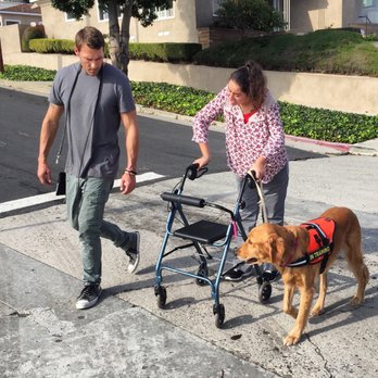 How Much Does Brandon Mcmillan Charge to Train a Dog: Expert Rates Revealed