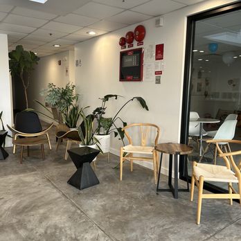 The Well Coffee - Coffee & Tea Near Me - Flushing, New York