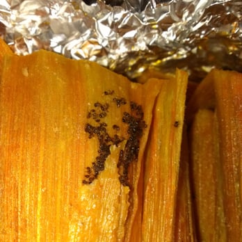 Jovy's Homemade Tamales - Yes, these are ants in tbe tamales. I bought  1-1/2 port, dozen chicken and a half dozen beef. Each bundle had ants . - Mexican Near Me - Clute, Texas