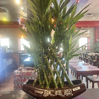 Bamboo House - Noodles Near Me - Humble, Texas Bamboo House - Noodles Near Me - Humble, Texas