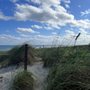 Photo of Bark Beach