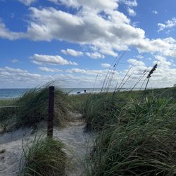 Bark Beach