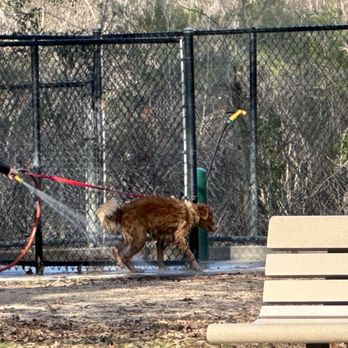 Meyer Park Dog Park - duchas para mascotas - Dog Parks Near Me - Spring, Texas