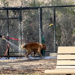 Meyer Park Dog Park - Duchas para mascotas