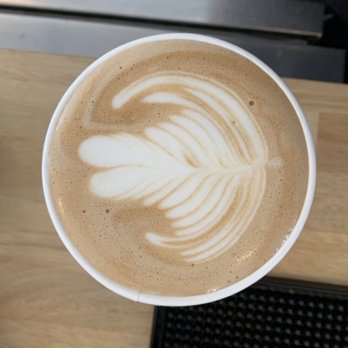 Oscura - Latte - Music Venues Near Me - Bradenton, Florida Oscura - Latte - Music Venues Near Me - Bradenton, Florida