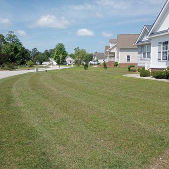 Complete Lawn Care - Lawn Services Near Me