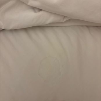 Hyatt House - Historic District - Stained sheets. - Hotels Near Me - Charleston, South Carolina Hyatt House - Historic District - Stained sheets. - Hotels Near Me - Charleston, South Carolina