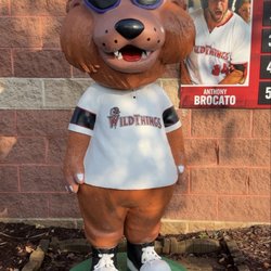 Washington Wild Things - Tap his head and it bobbles.