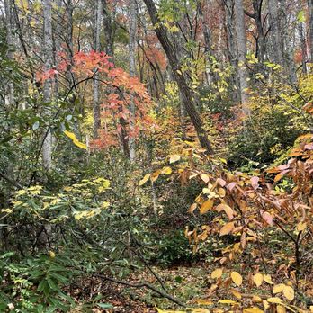 Roaring Fork Falls - Along trail to Roaring Fork Falls, NC - Hiking Near Me - Burnsville, North Carolina