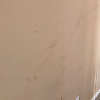 Bellhop Moving - Look at my walls - Movers Near Me - Charlotte, North Carolina