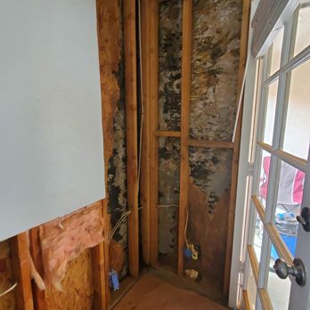 Mold Safe Solutions - Damage Restoration Near Me - Carlsbad, California Mold Safe Solutions - Damage Restoration Near Me - Carlsbad, California