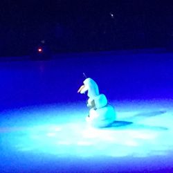 Payne Arena - Olaf