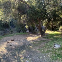 Big Caliente / Little Caliente Hot Springs - The old camping area totally unmanaged and overgrown.
