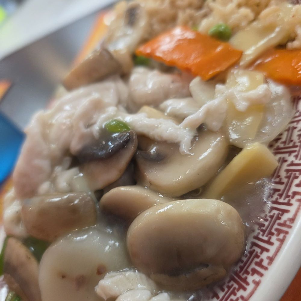 Hong Kong Restaurant - Moo goo gai pan - Chinese Near Me - Brook Park, Ohio Hong Kong Restaurant - Moo goo gai pan - Chinese Near Me - Brook Park, Ohio