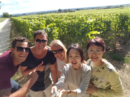 Bordeaux Wine Trails - Wine tours by null