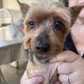 Petco - Uneven beard - Pet Stores Near Me - Union City, California