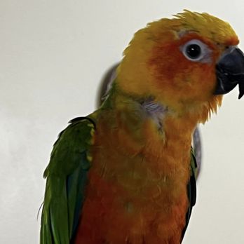 Garden State Pet Center - Reptile Shops Near Me - Audubon, New Jersey