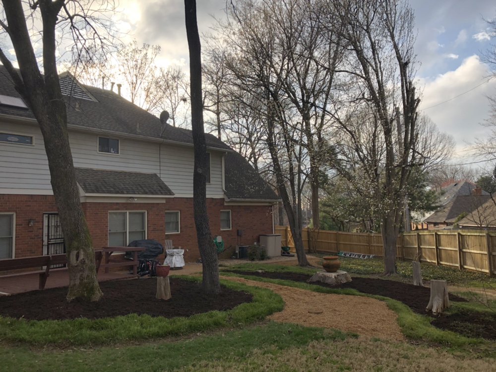 MURILLO LAWN AND LANDSCAPING Updated August 2024 Cordova, Tennessee