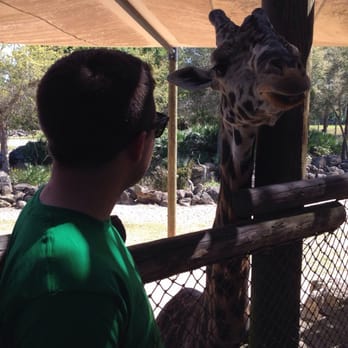 Brevard Zoo - This is how close you can get to a giraffe and even feed them. - Zoos Near Me - Melbourne, Florida Brevard Zoo - This is how close you can get to a giraffe and even feed them. - Zoos Near Me - Melbourne, Florida