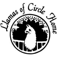 Llamas of Circle Home