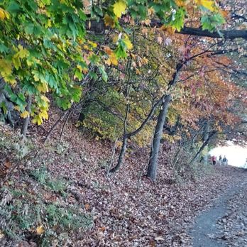 Ross Dock Picnic Area - Probably the last fall foliage of November 2022 - Parks Near Me Ross Dock Picnic Area - Probably the last fall foliage of November 2022 - Parks Near Me