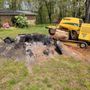 Photo of Omega Stump Grinding
